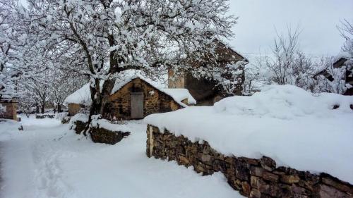 20250208_153135-EDIT